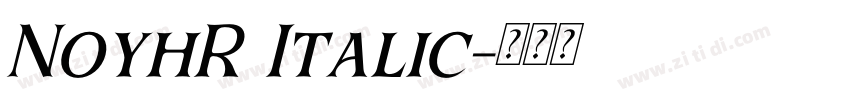 NoyhR Italic字体转换 NoyhR Italic字体转换